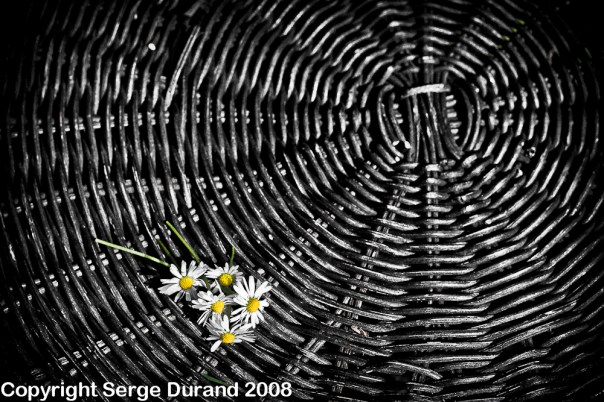 fleurs sur table en osier couleur EF-50mm f-5-640sec ISO-100 zone system gris neutre table fleur rotin